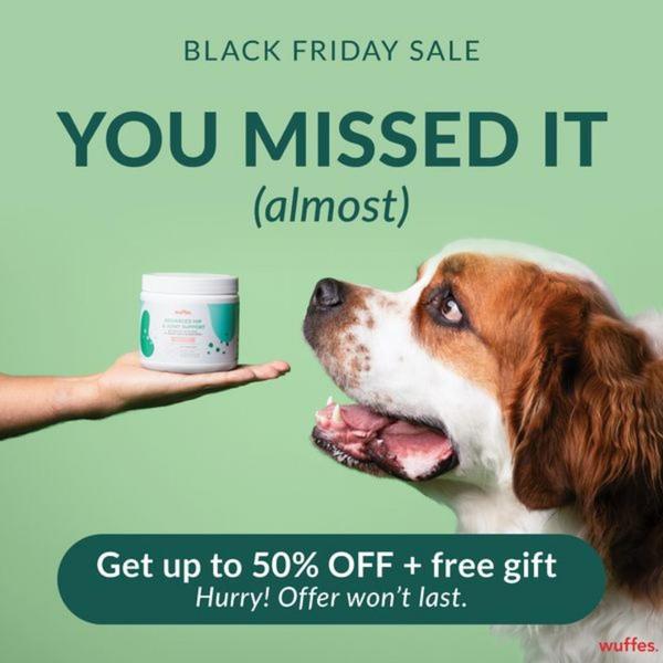 A square format ad featuring a dog looking at a supplement container with text emphasizing a missed opportunity and a limited-time 50% off offer.